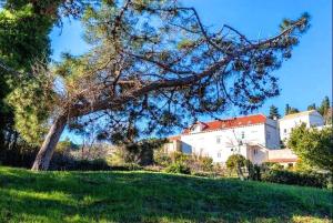 Sandy Beach Apartments