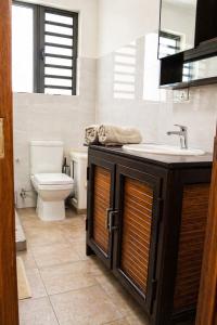 Zenith Apartment