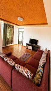 Zenith Apartment