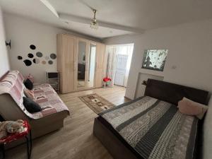 Apartament 1 camera