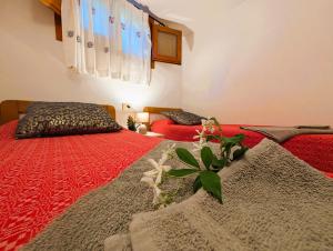 Apartment dei Fiori 2