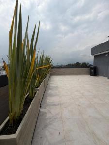 Luxury Loft 101 Jacuzzi, from Airport, Wi-Fi Modelia