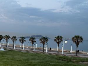 Alamine plage