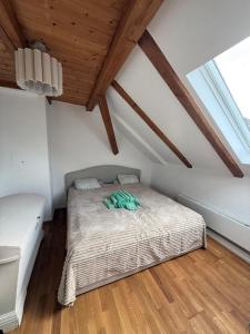 Alpnest II