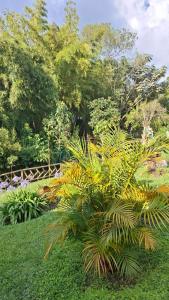 Hospedaje Clemudo