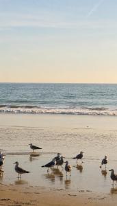 Sea View Family Apt - Terrace - 5 min Beach - Imi Ouaddar