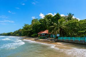Starlink Jungle Retreat Eco Living Fast WiFi