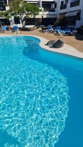 Casa jablillo Premium