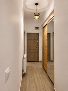 Luxury studio