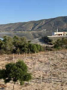 Villa Pieds dans l eau entre Lagune et Montagne