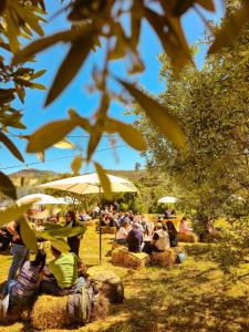 Le Piane Agriglamping