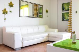 320 Apartment Dielli