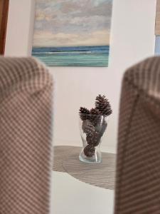 Apartments Teami