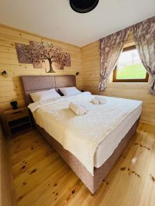 Aura Durmitor apartments