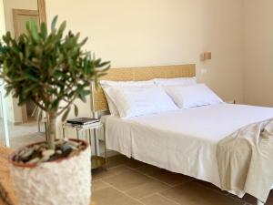 Borgo Santa Chiara
