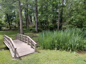 Big fish pond