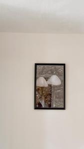 Hotel Casa Xicun