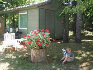 Villages vacances Les Chalets d'Argentouleau : photos des chambres