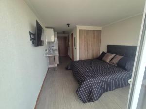 Studio Distrito Cavancha 2