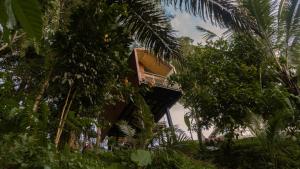 OFFTRACK Training Camp in the Jungle