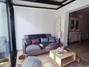 Maison moderne, animaux OK - 6 pers. - FR-1-879-21