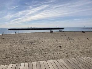 Studio cabine familial avant port - 5 pers. - FR-1-880-12