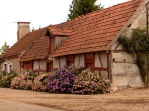 Maisons de vacances Domaine du Bourg Gites : photos des chambres