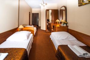 Triple Room room in Hotel Nad Pisą