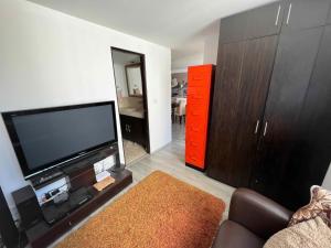 Sunlit Roma Apt