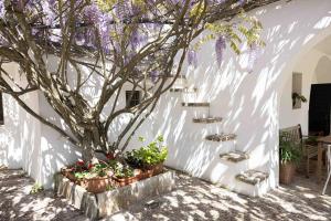 I Trulli della NaturaBio