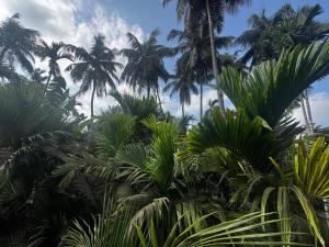 Seven Seas Beach Resort