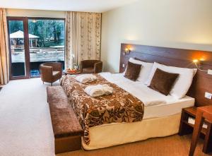 Comfort Double Room room in Hotel Zochova Chata - Adult friendly