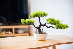 ZenStay Shinosaka