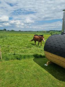 Tiny housse serenity avec jacuzzi et piscine