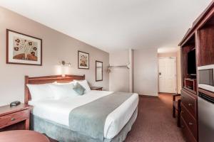 Super 8 by Wyndham Lake CountryWinfield Area Airport North