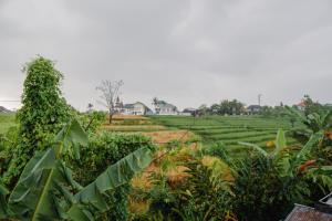 Ricefield View 2 BR villa near Canggu