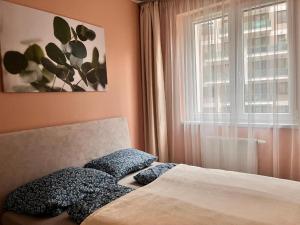 Corvin deLuxe Apartment with 2 bedrooms