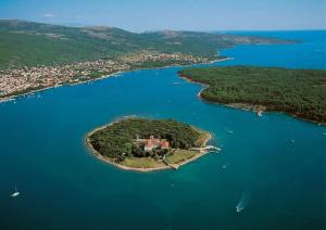 Luxury new apartment with private pool, large garden, beach - by TRAVELER tourist agency Krk ID 2688