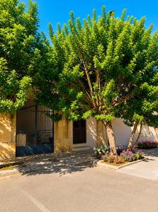 Casa Margottini