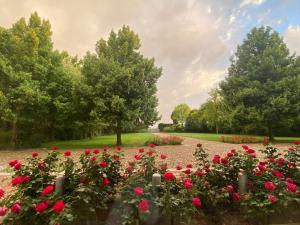 Grenier Blanc in Villa Suite ingresso indipendente