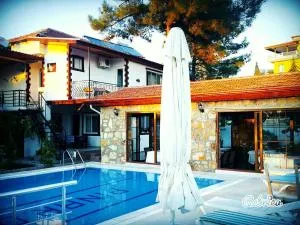 Pınar Vintage House - 帕莫卡莱