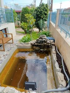 The Pond House near the airport and the sea