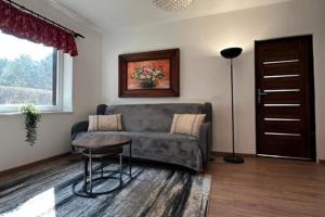 Large and comfortable holiday villa with a garden
