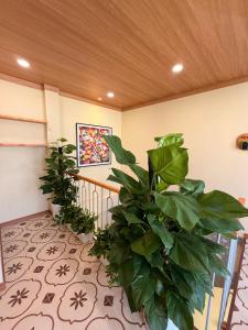 Cozy nest Hoian Apartment