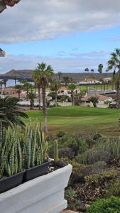 Amarilla Golf Apartamento, Tenerife Sur