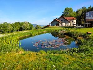 Naturdomizil in Alleinlage auf der Goaßleiten