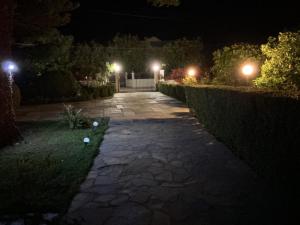 Orange Blossom Luxury House
