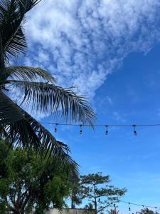 Villa flamingo hải tien 36