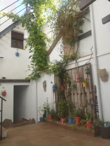 Apartamento EG17