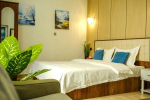 Sea Turtles Guest House